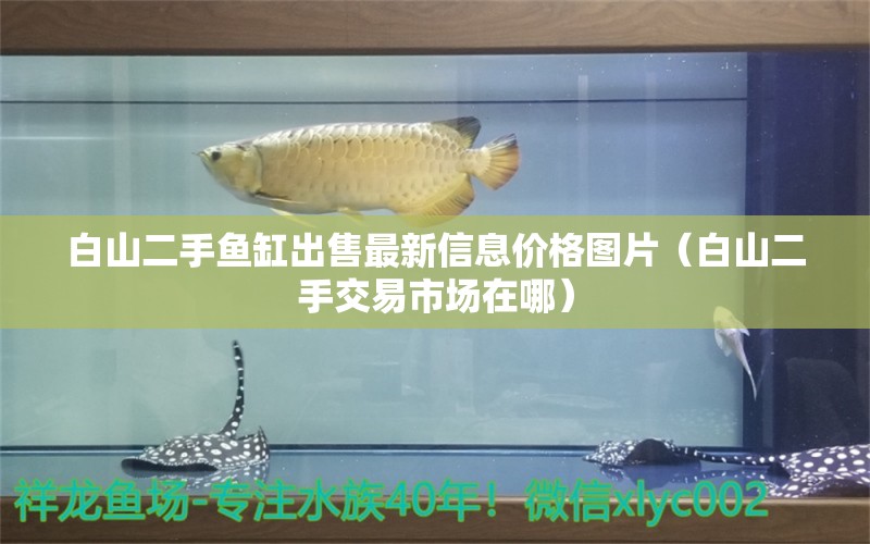 白山二手魚缸出售最新信息價格圖片（白山二手交易市場在哪）