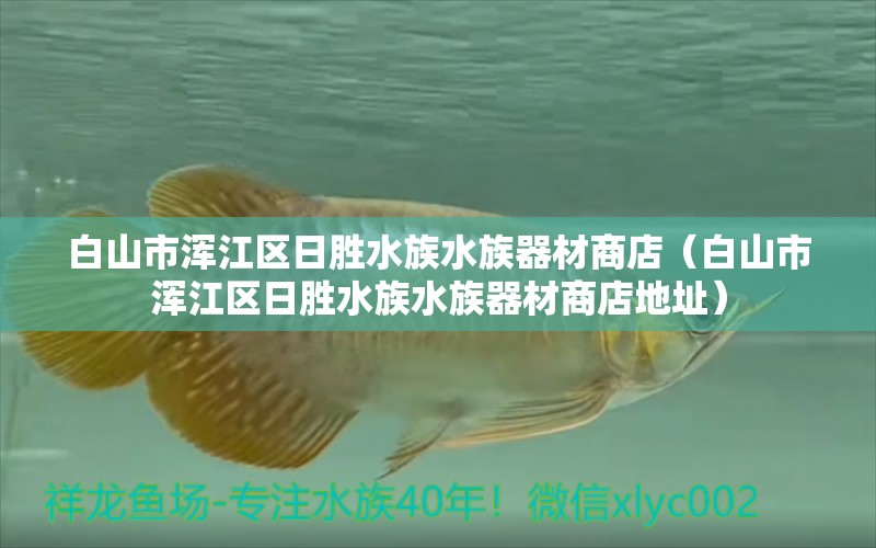 白山市渾江區(qū)日勝水族水族器材商店（白山市渾江區(qū)日勝水族水族器材商店地址）