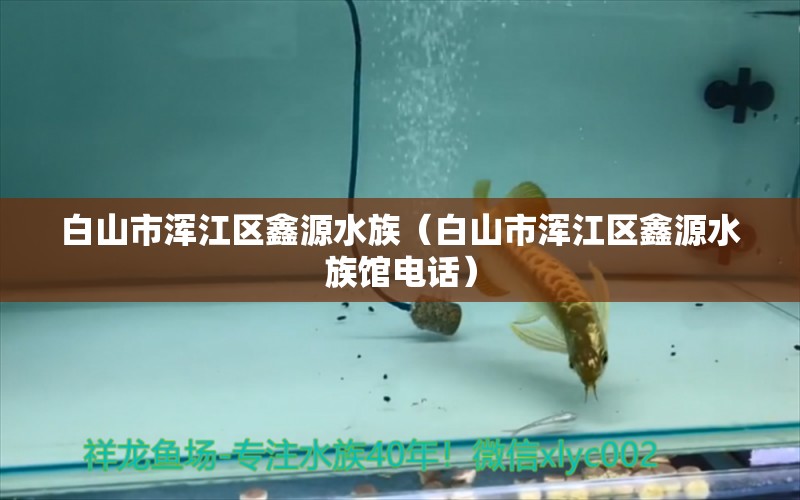 白山市渾江區(qū)鑫源水族（白山市渾江區(qū)鑫源水族館電話）