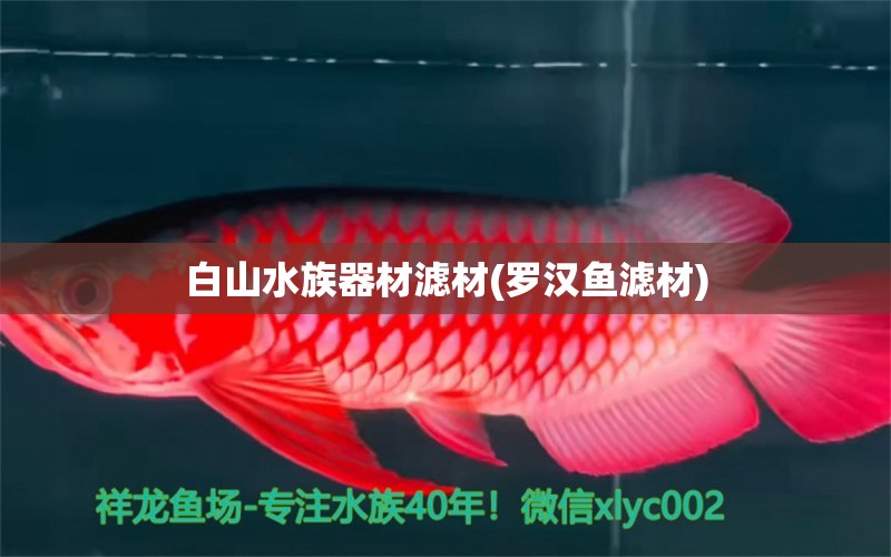 白山水族器材濾材(羅漢魚濾材) 羅漢魚