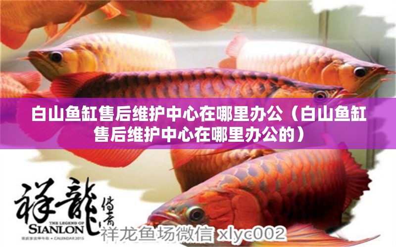 白山魚(yú)缸售后維護(hù)中心在哪里辦公（白山魚(yú)缸售后維護(hù)中心在哪里辦公的） 其他品牌魚(yú)缸