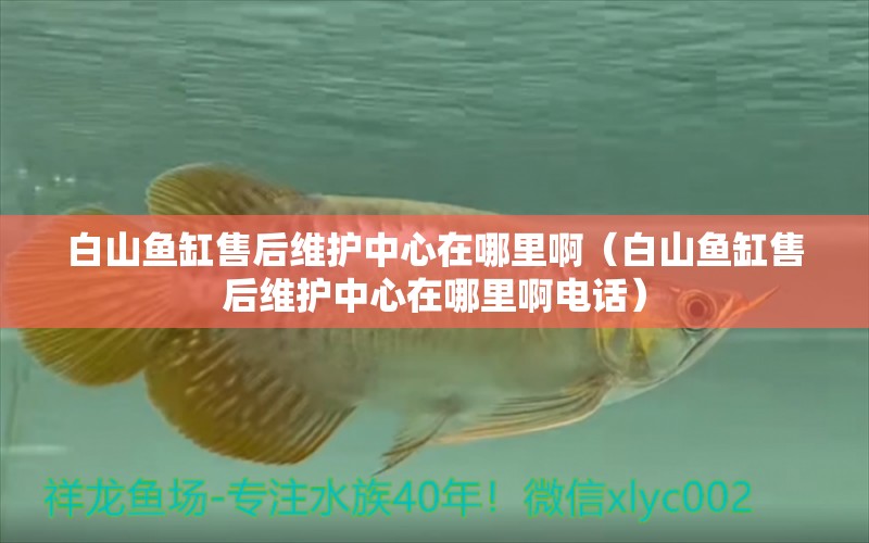 白山魚(yú)缸售后維護(hù)中心在哪里?。ò咨紧~(yú)缸售后維護(hù)中心在哪里啊電話）