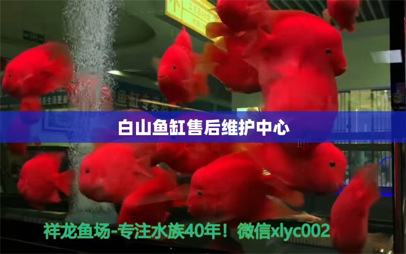 白山魚缸售后維護(hù)中心 其他品牌魚缸