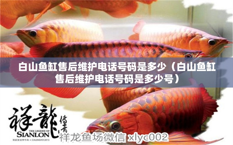 白山魚(yú)缸售后維護(hù)電話號(hào)碼是多少（白山魚(yú)缸售后維護(hù)電話號(hào)碼是多少號(hào)） 其他品牌魚(yú)缸