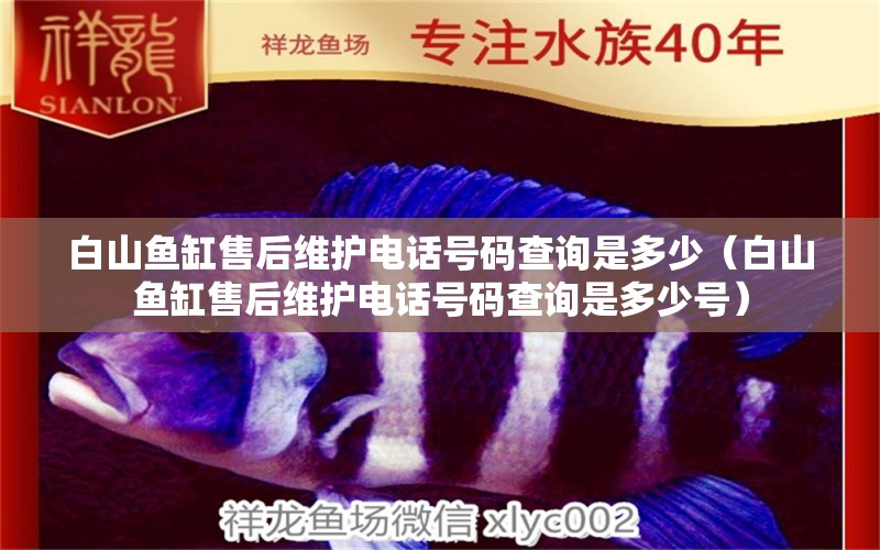 白山魚缸售后維護(hù)電話號碼查詢是多少（白山魚缸售后維護(hù)電話號碼查詢是多少號） 其他品牌魚缸