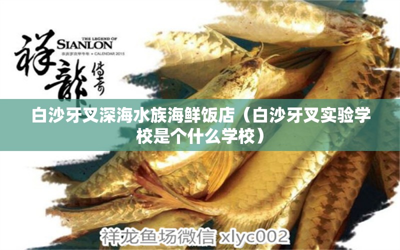 白沙牙叉深海水族海鮮飯店（白沙牙叉實驗學(xué)校是個什么學(xué)校）