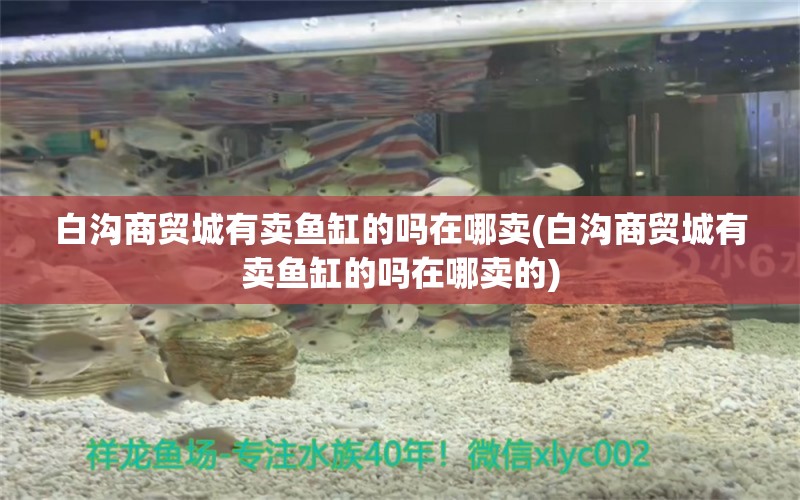 白溝商貿(mào)城有賣魚缸的嗎在哪賣(白溝商貿(mào)城有賣魚缸的嗎在哪賣的) 七紋巨鯉魚