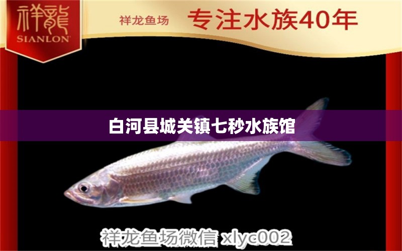 白河縣城關(guān)鎮(zhèn)七秒水族館 全國水族館企業(yè)名錄