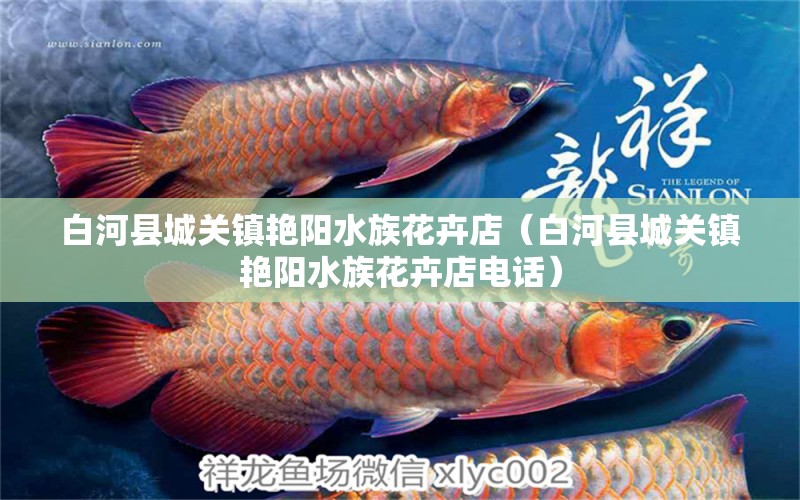 白河縣城關(guān)鎮(zhèn)艷陽水族花卉店（白河縣城關(guān)鎮(zhèn)艷陽水族花卉店電話）