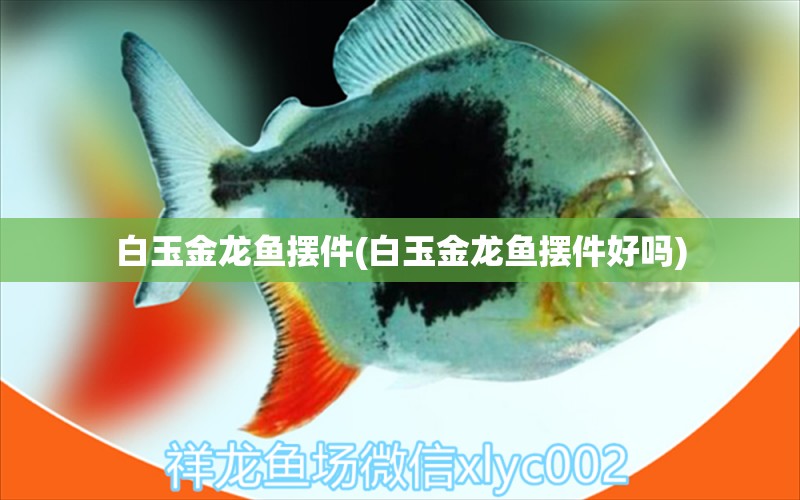 白玉金龍魚擺件(白玉金龍魚擺件好嗎) 帝王三間魚