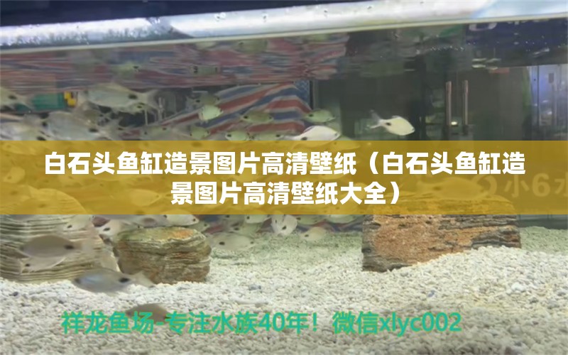 白石頭魚缸造景圖片高清壁紙（白石頭魚缸造景圖片高清壁紙大全） 祥龍水族醫(yī)院