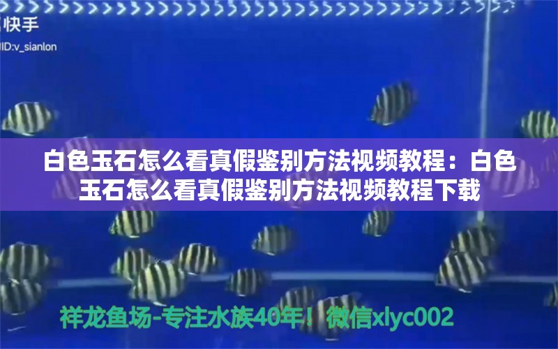 白色玉石怎么看真假鑒別方法視頻教程：白色玉石怎么看真假鑒別方法視頻教程下載