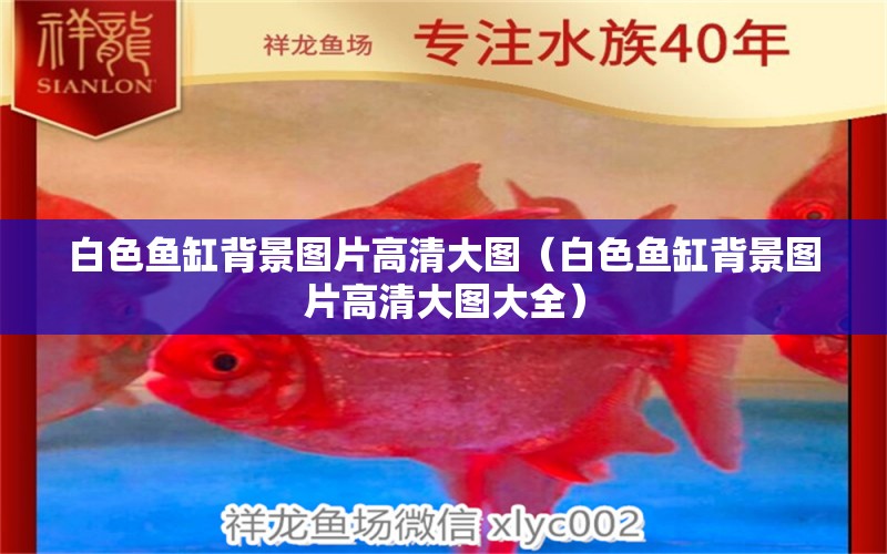 白色魚缸背景圖片高清大圖（白色魚缸背景圖片高清大圖大全）