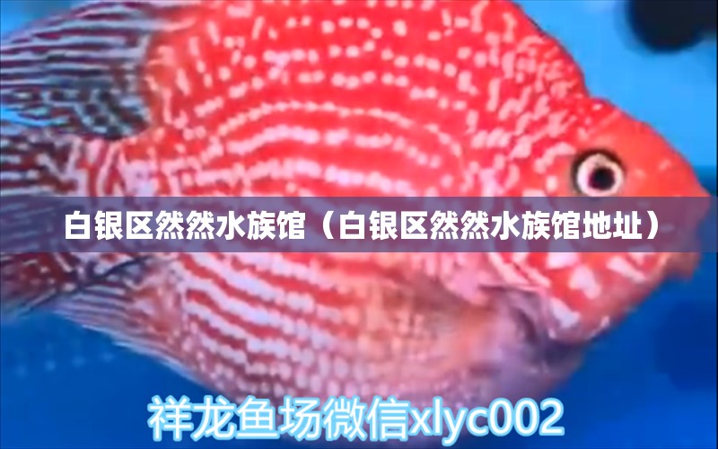 白銀區(qū)然然水族館（白銀區(qū)然然水族館地址）