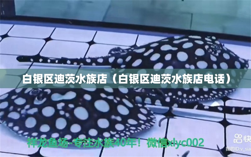 白銀區(qū)迪茨水族店（白銀區(qū)迪茨水族店電話） 全國水族館企業(yè)名錄