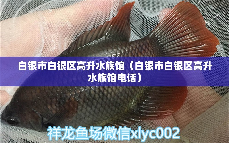 白銀市白銀區(qū)高升水族館（白銀市白銀區(qū)高升水族館電話） 全國水族館企業(yè)名錄