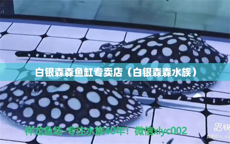 白銀森森魚缸專賣店（白銀森森水族）