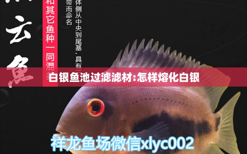 白銀魚池過(guò)濾濾材:怎樣熔化白銀 廣州水族器材濾材批發(fā)市場(chǎng)