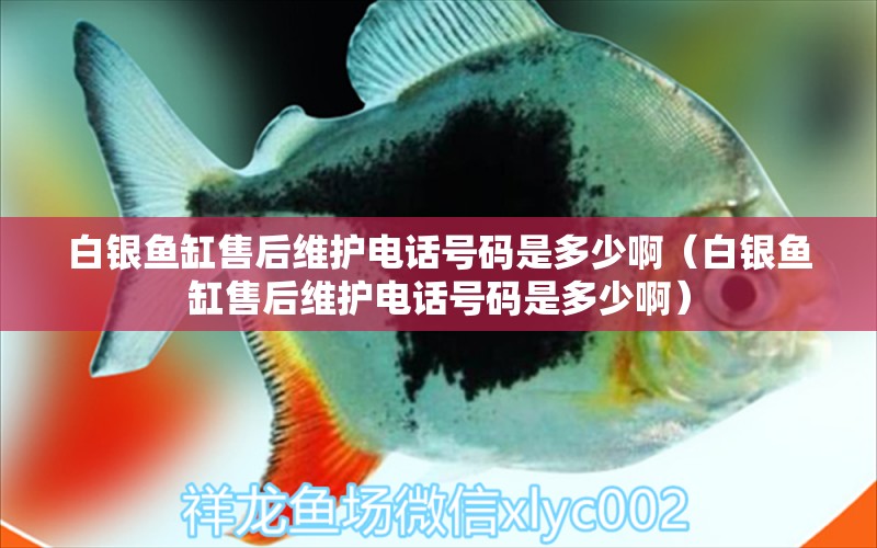 白銀魚缸售后維護(hù)電話號(hào)碼是多少?。ò足y魚缸售后維護(hù)電話號(hào)碼是多少?。? title=