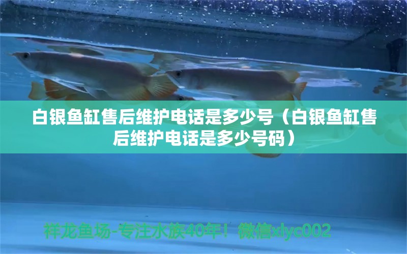 白銀魚缸售后維護電話是多少號（白銀魚缸售后維護電話是多少號碼） 其他品牌魚缸