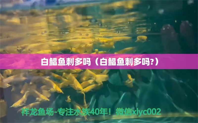 白鯧魚刺多嗎（白鯧魚刺多嗎?） 祥龍魚場