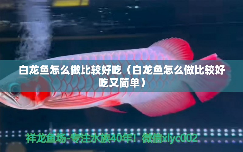 白龍魚怎么做比較好吃（白龍魚怎么做比較好吃又簡單）