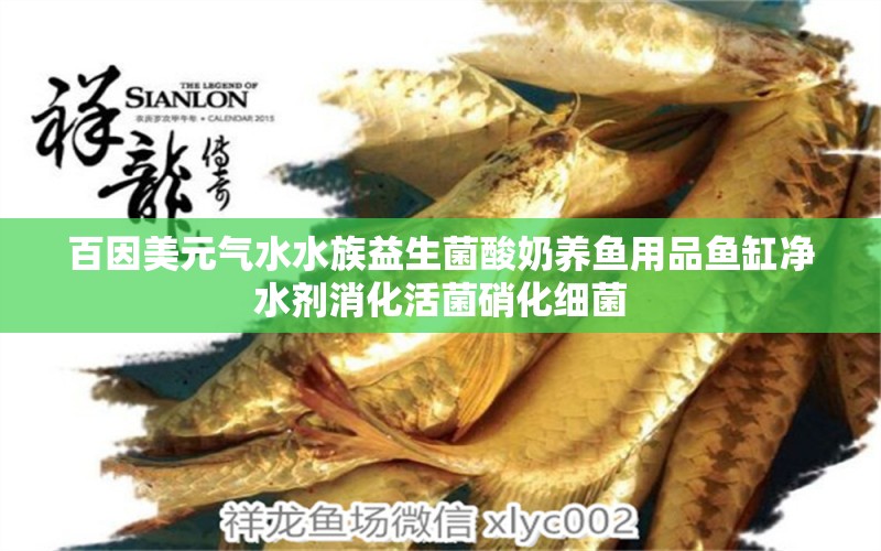 百因美元?dú)馑逡嫔崮甜B(yǎng)魚(yú)用品魚(yú)缸凈水劑消化活菌硝化細(xì)菌 硝化細(xì)菌