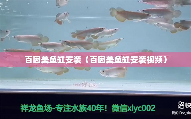 百因美魚缸安裝（百因美魚缸安裝視頻）