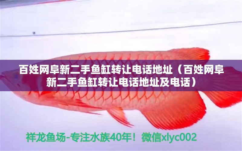 百姓網(wǎng)阜新二手魚(yú)缸轉(zhuǎn)讓電話地址（百姓網(wǎng)阜新二手魚(yú)缸轉(zhuǎn)讓電話地址及電話） 祥龍魚(yú)場(chǎng)