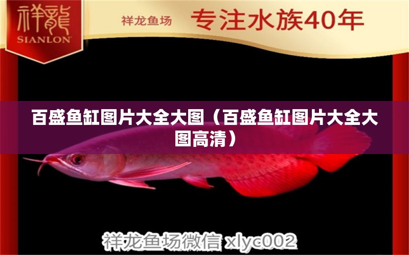 百盛魚(yú)缸圖片大全大圖（百盛魚(yú)缸圖片大全大圖高清）