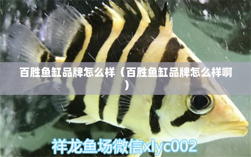 百勝魚缸品牌怎么樣（百勝魚缸品牌怎么樣?。?觀賞魚市場（混養(yǎng)魚）