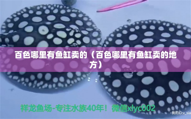 百色哪里有魚缸賣的（百色哪里有魚缸賣的地方） 其他品牌魚缸