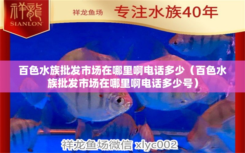 百色水族批發(fā)市場(chǎng)在哪里啊電話多少（百色水族批發(fā)市場(chǎng)在哪里啊電話多少號(hào)） 觀賞魚水族批發(fā)市場(chǎng)