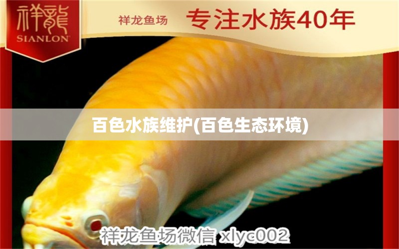 百色水族維護(百色生態(tài)環(huán)境) 森森魚缸