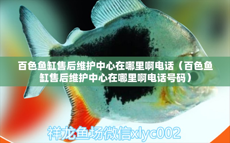 百色魚缸售后維護(hù)中心在哪里啊電話（百色魚缸售后維護(hù)中心在哪里啊電話號(hào)碼） 其他品牌魚缸