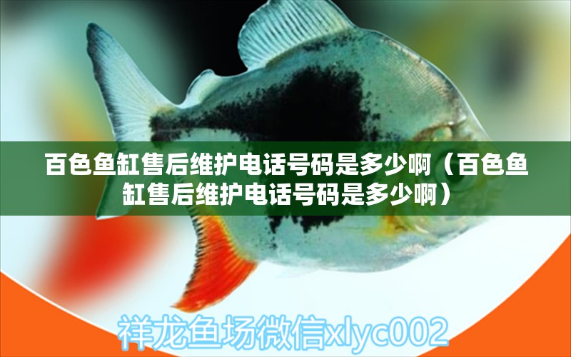 百色魚缸售后維護(hù)電話號(hào)碼是多少?。ò偕~缸售后維護(hù)電話號(hào)碼是多少啊） 其他品牌魚缸