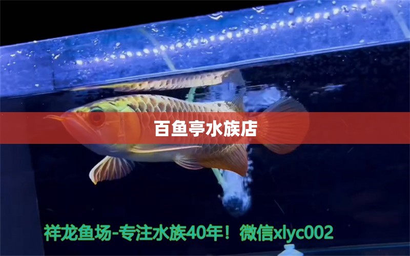 百魚亭水族店 全國(guó)水族館企業(yè)名錄