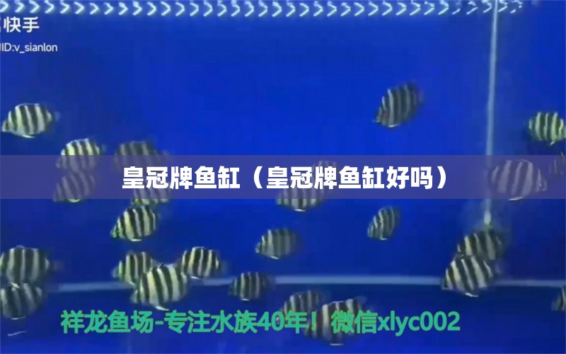 皇冠牌魚缸（皇冠牌魚缸好嗎）