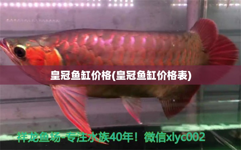 皇冠魚缸價(jià)格(皇冠魚缸價(jià)格表) 觀賞魚市場(chǎng)