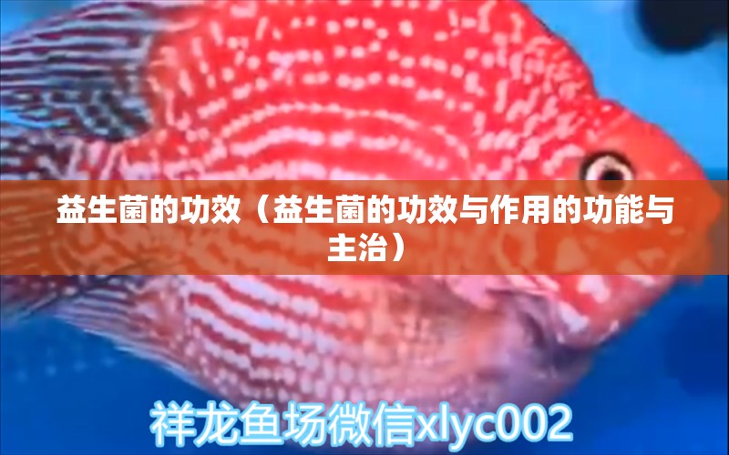 益生菌的功效（益生菌的功效與作用的功能與主治） 泰國(guó)虎魚