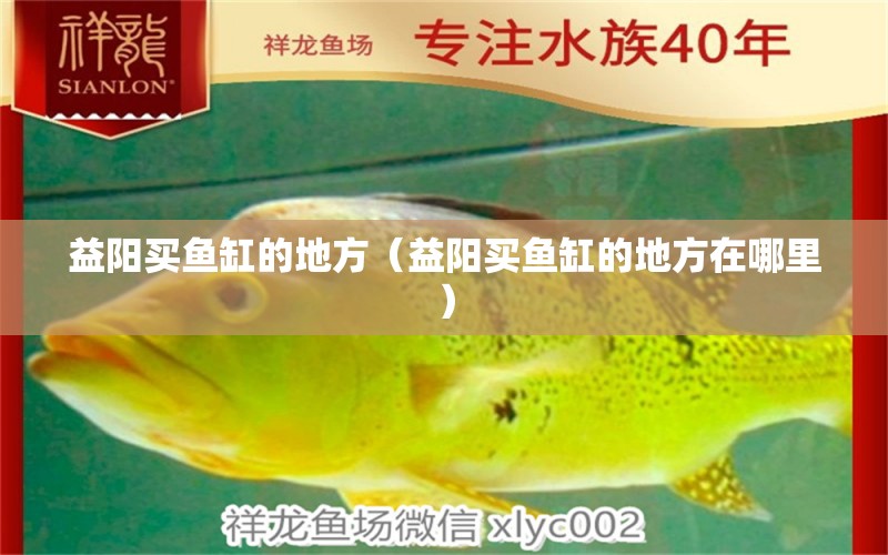 益陽買魚缸的地方（益陽買魚缸的地方在哪里） 其他品牌魚缸