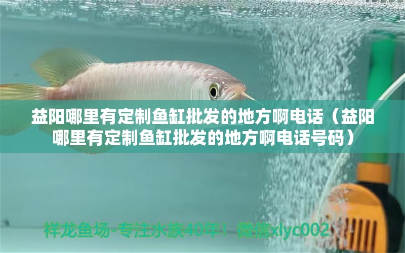 益陽哪里有定制魚缸批發(fā)的地方啊電話（益陽哪里有定制魚缸批發(fā)的地方啊電話號碼） 祥龍水族醫(yī)院