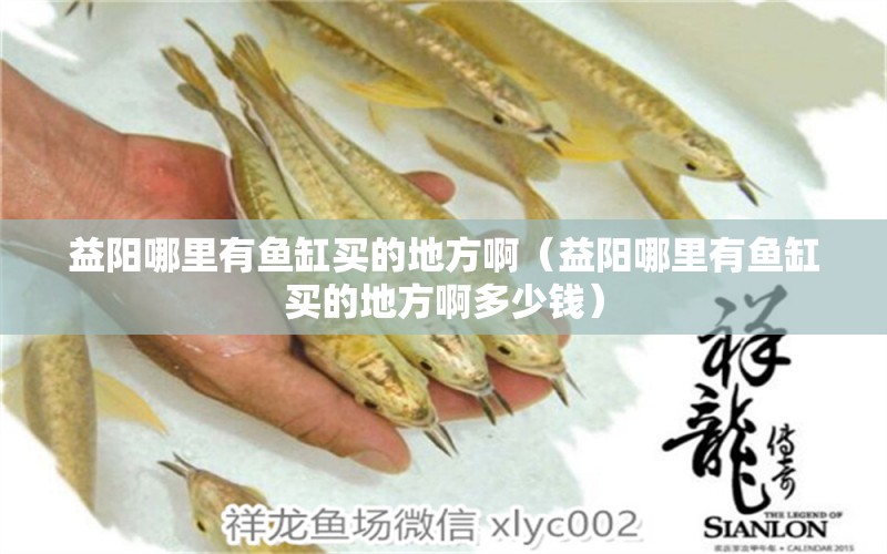 益陽(yáng)哪里有魚(yú)缸買(mǎi)的地方?。ㄒ骊?yáng)哪里有魚(yú)缸買(mǎi)的地方啊多少錢(qián)）