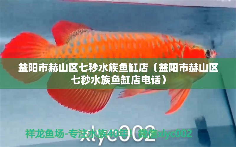 益陽市赫山區(qū)七秒水族魚缸店（益陽市赫山區(qū)七秒水族魚缸店電話）