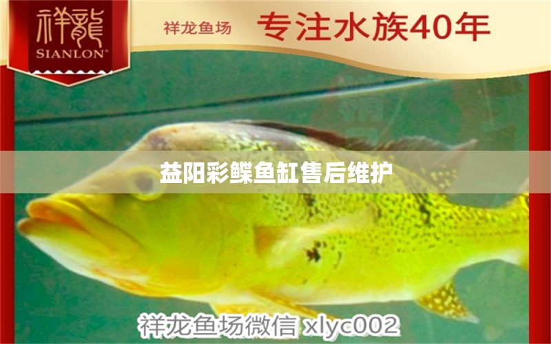 益陽彩鰈魚缸售后維護 彩鰈魚缸（彩蝶魚缸）