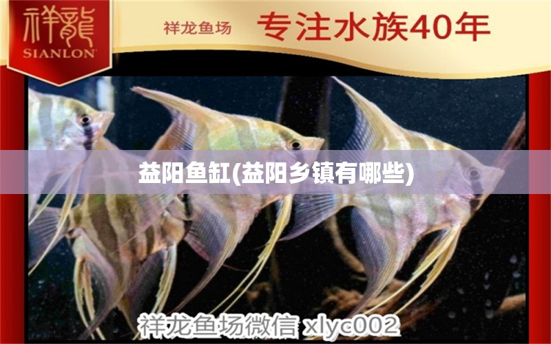 益陽魚缸(益陽鄉(xiāng)鎮(zhèn)有哪些) 魚缸百科