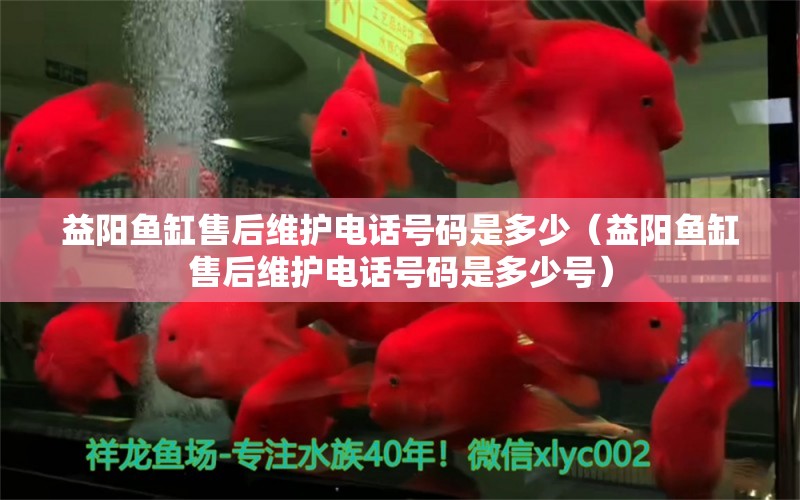 益陽(yáng)魚缸售后維護(hù)電話號(hào)碼是多少（益陽(yáng)魚缸售后維護(hù)電話號(hào)碼是多少號(hào)）