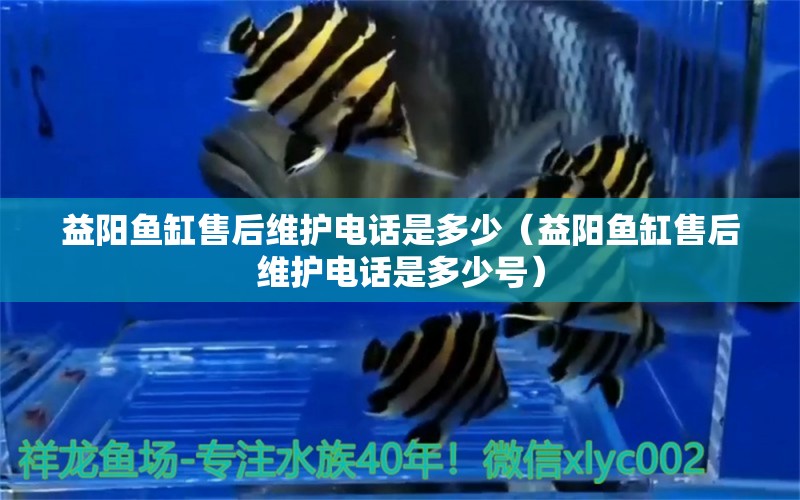 益陽魚缸售后維護電話是多少（益陽魚缸售后維護電話是多少號） 其他品牌魚缸