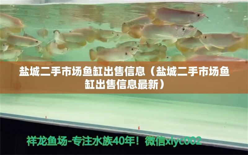 鹽城二手市場(chǎng)魚(yú)缸出售信息（鹽城二手市場(chǎng)魚(yú)缸出售信息最新）