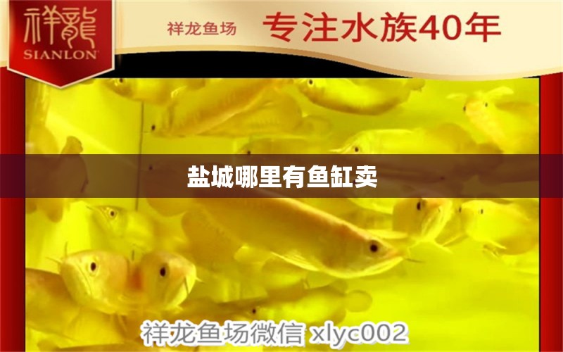 鹽城哪里有魚缸賣 其他品牌魚缸